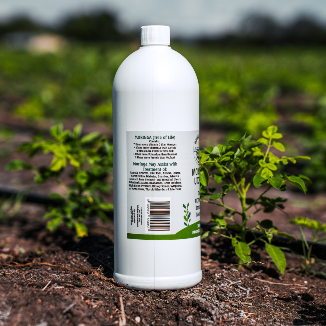 1l Moringa Juice Extract Organic Moringa Extract Juice Moringa Utopia Moringa Juice 1l For Sale Side Image