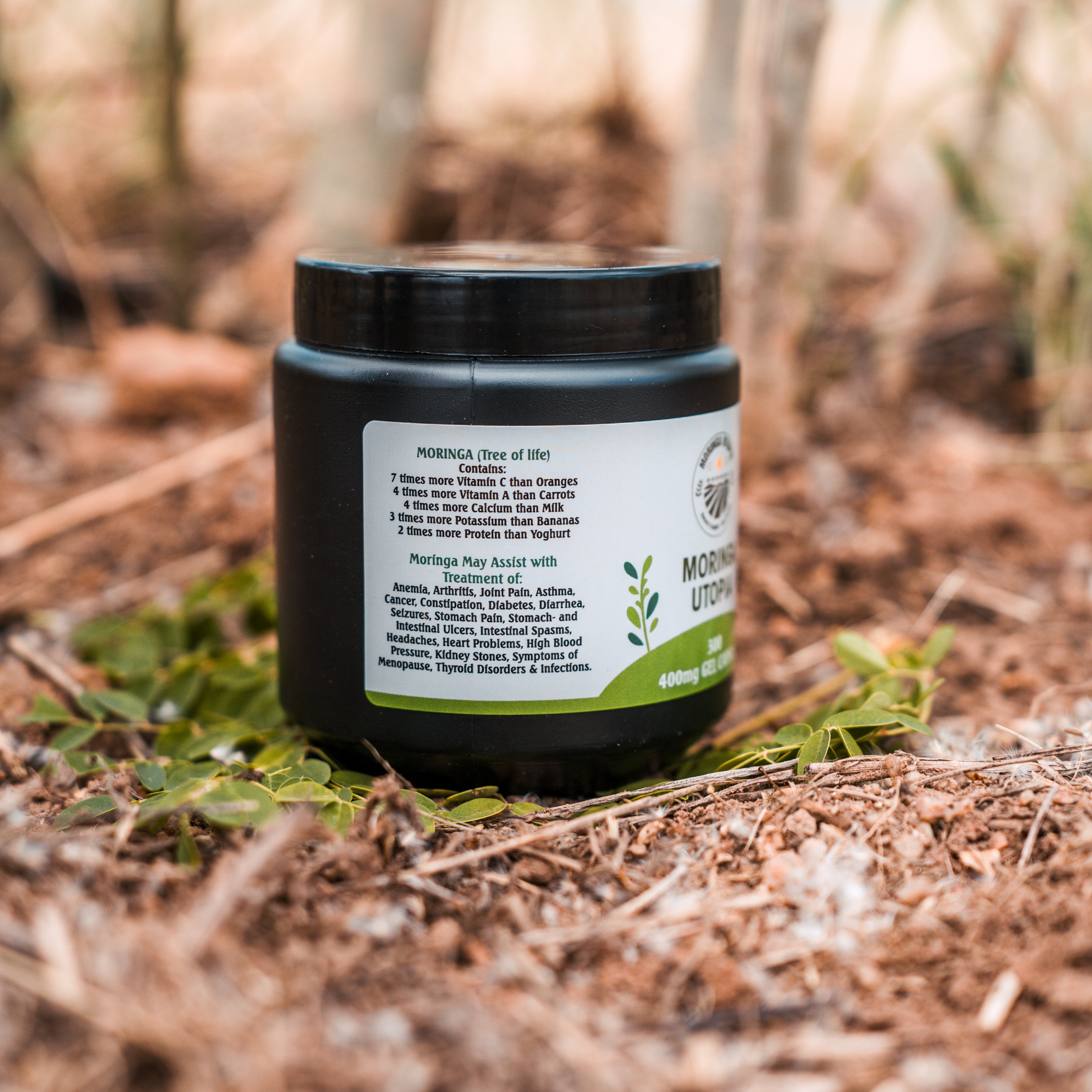 Black jar with a label on a forest floor
